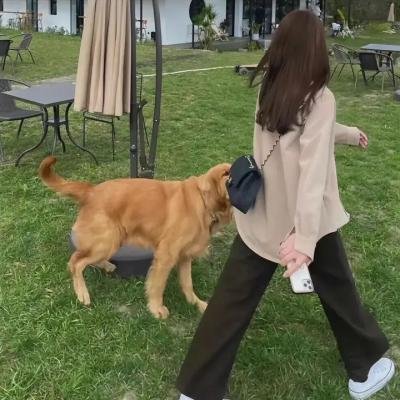 疯狗与格拉瑞小姐